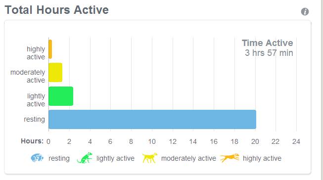 An average day for Ocelot .. 84% resting, 16%...