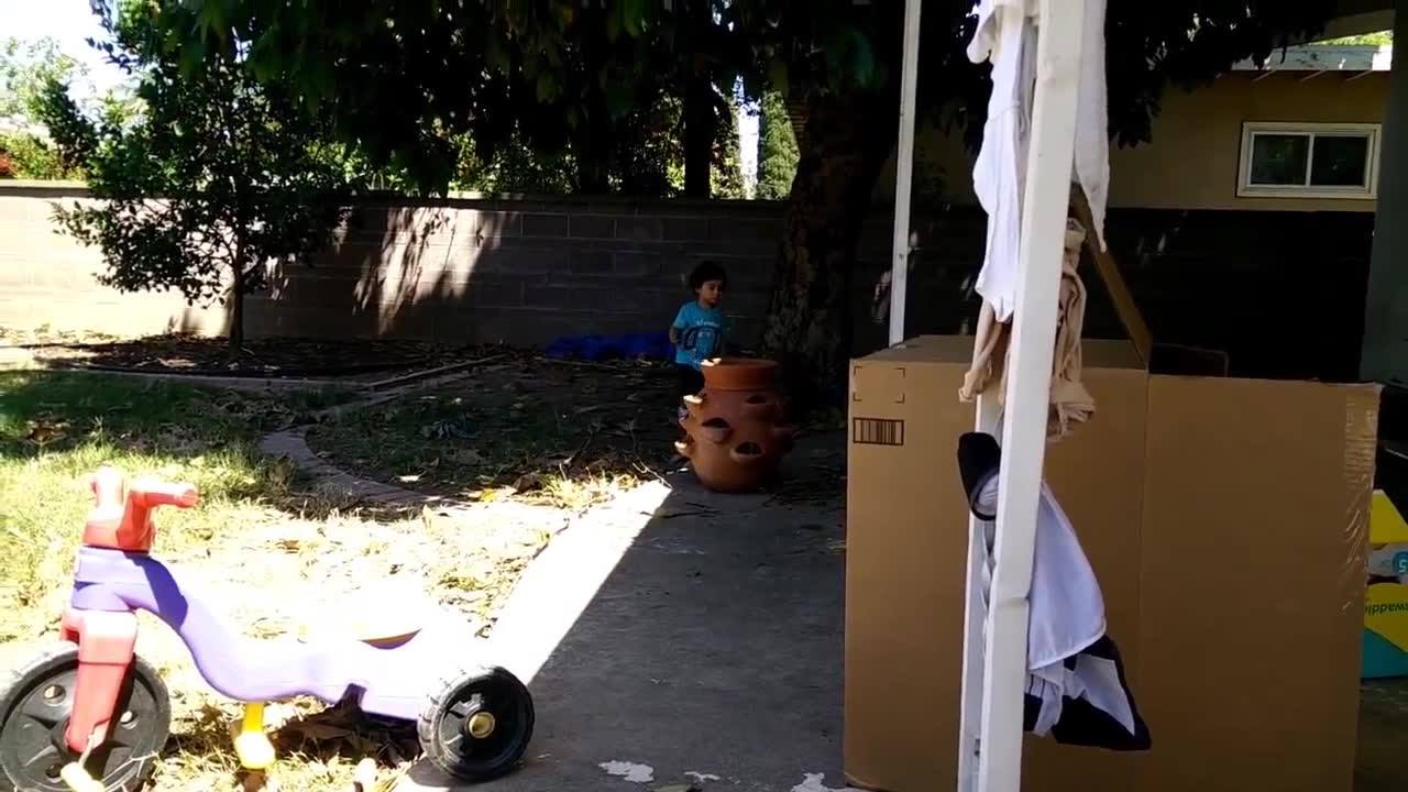 Eren playing in the backyard 