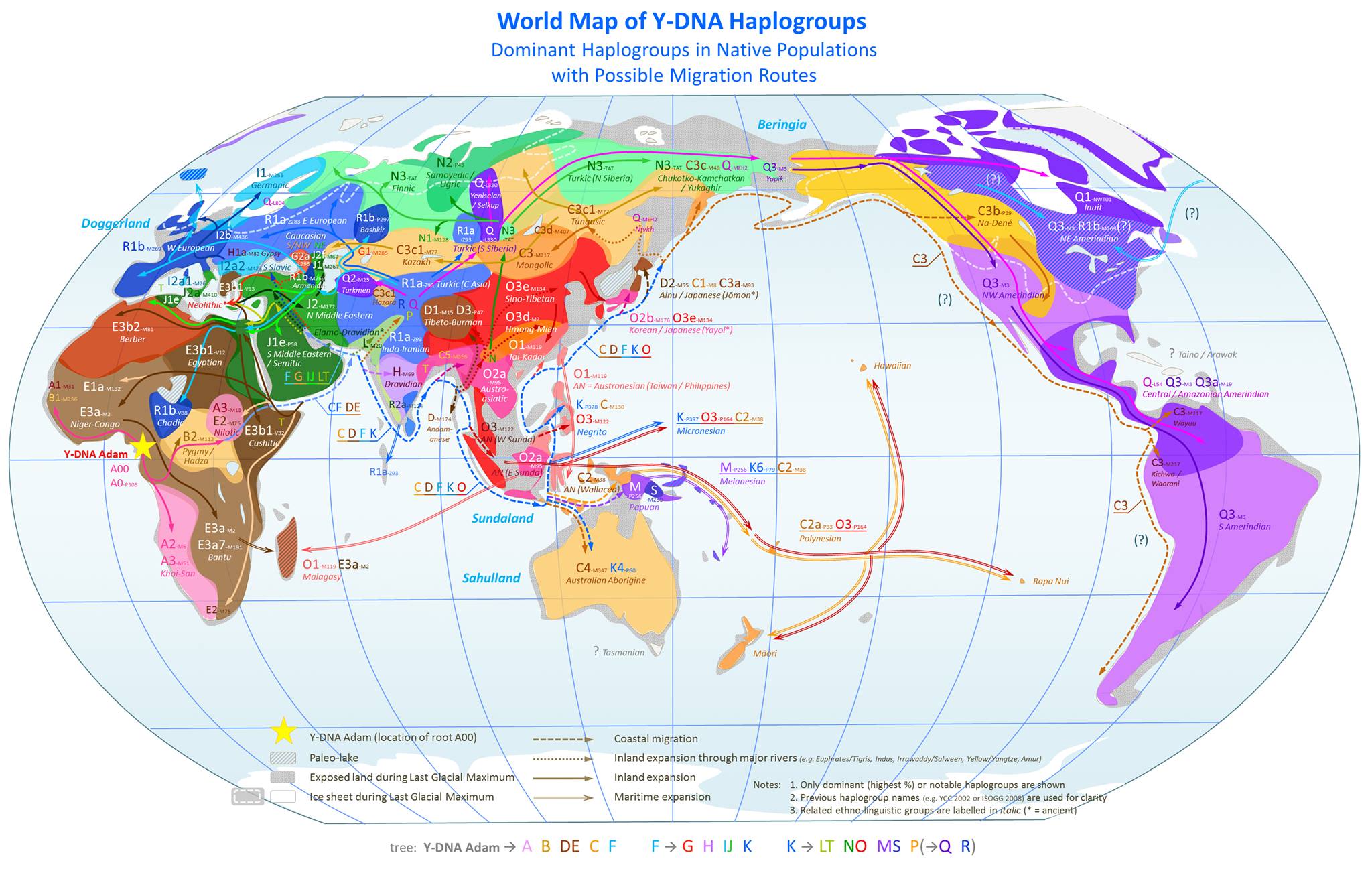 The World Map of Y-DNA Haplogroups