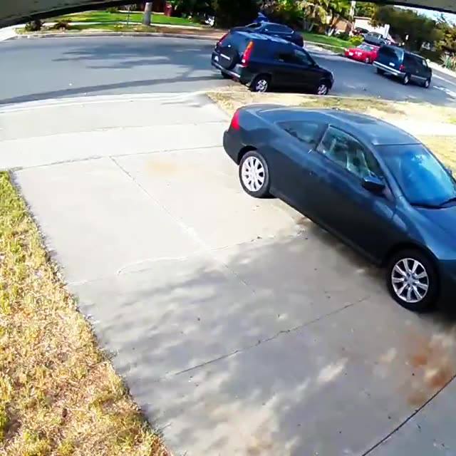 Hit and run driver