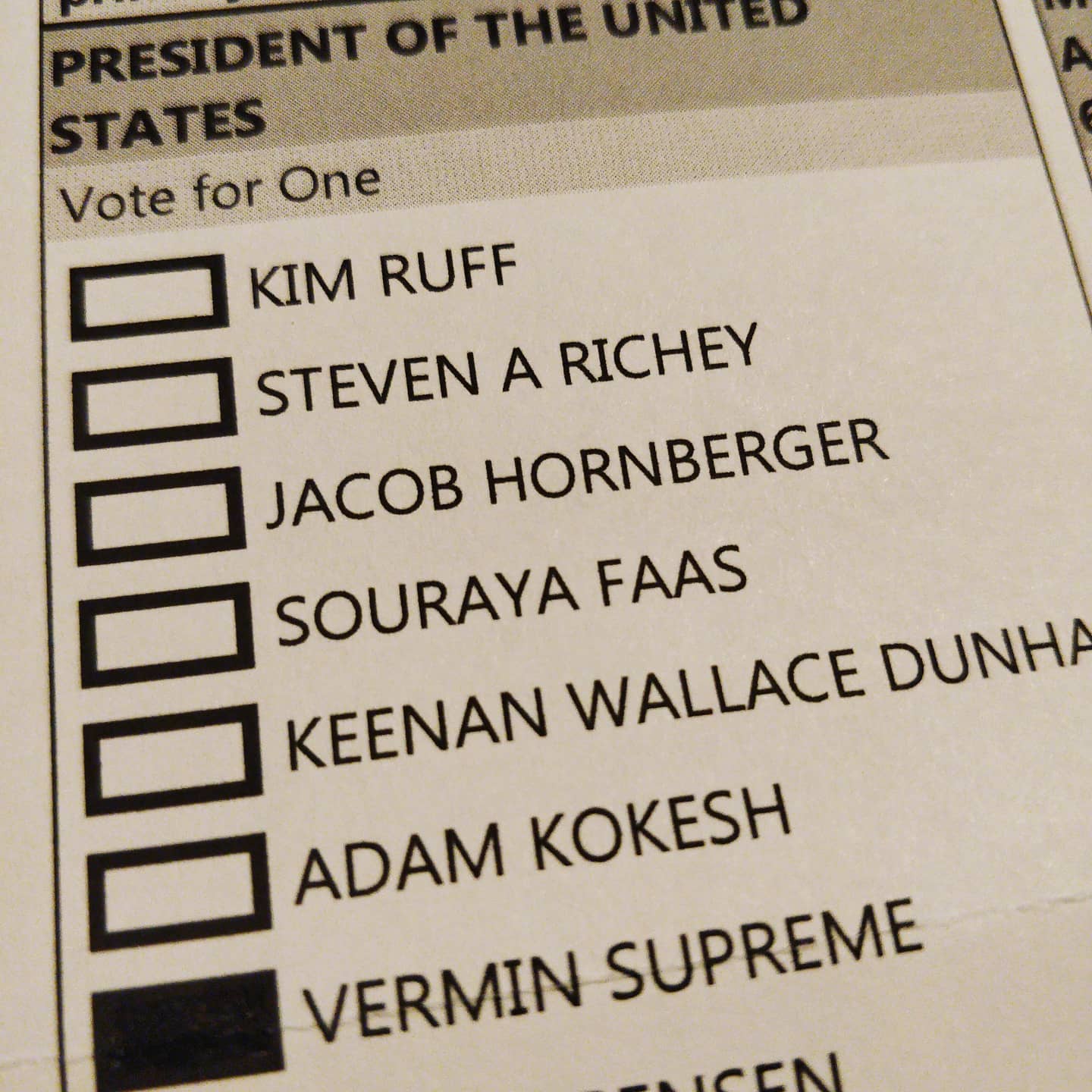 Vermin Supreme for president. I deserve a free pony
