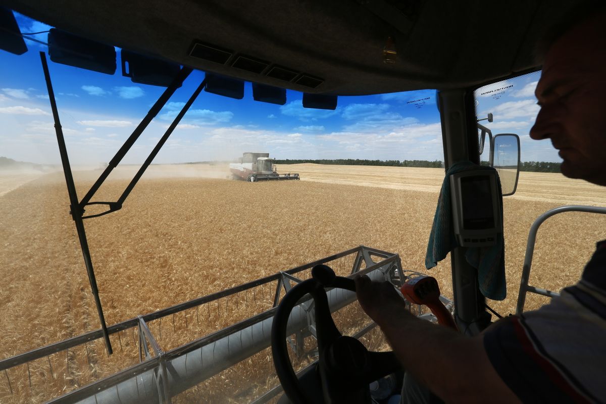 Russia bans wheat exports to protect its own supply...