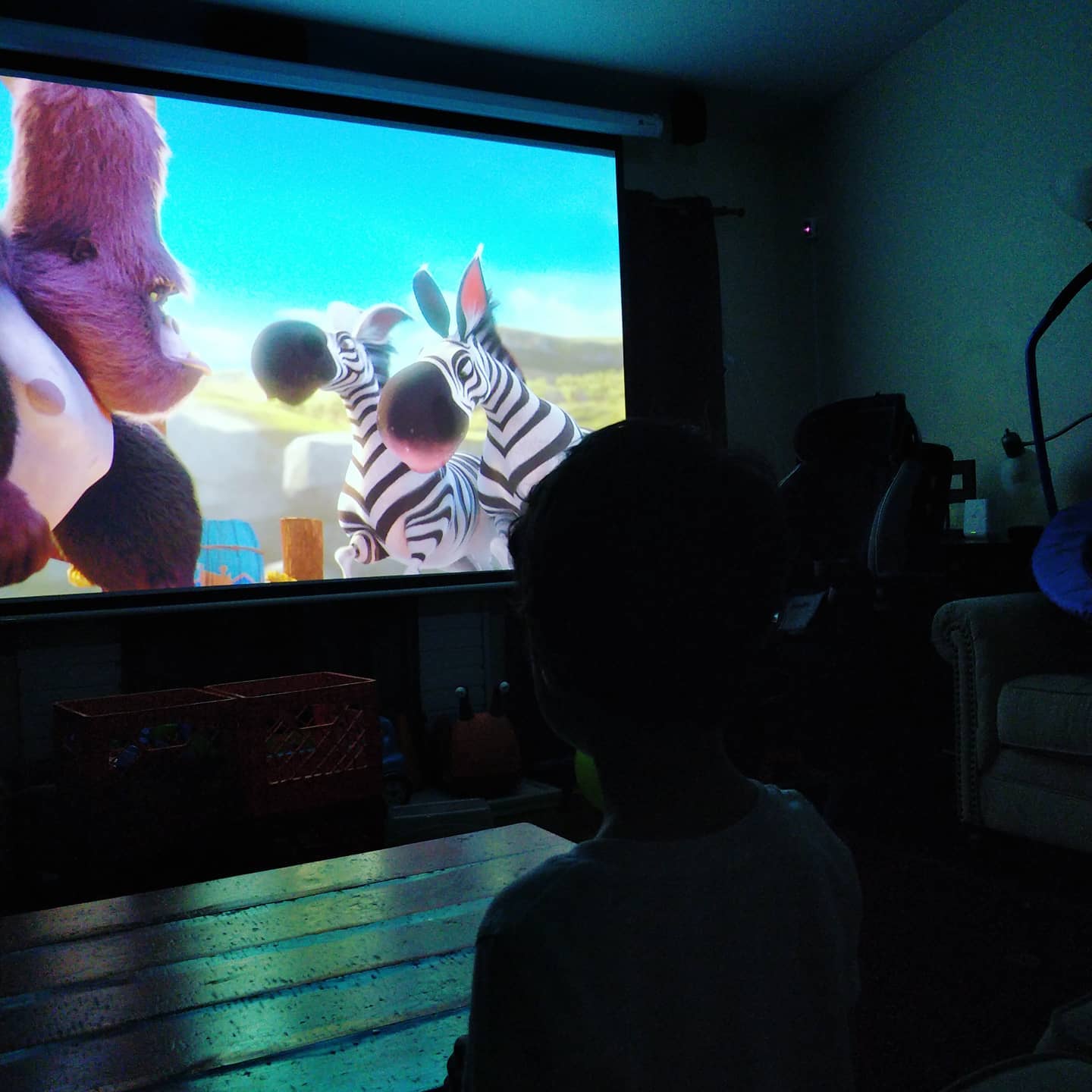 Eren doesn't remember the projector and movie screen from...