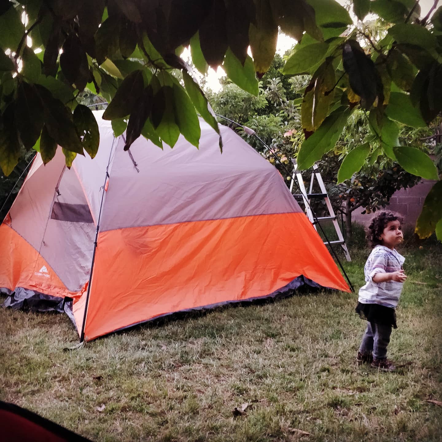 Talia, backyard camping