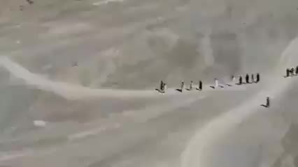 Taliban drone showing CIA established Khost Protection Force marching...