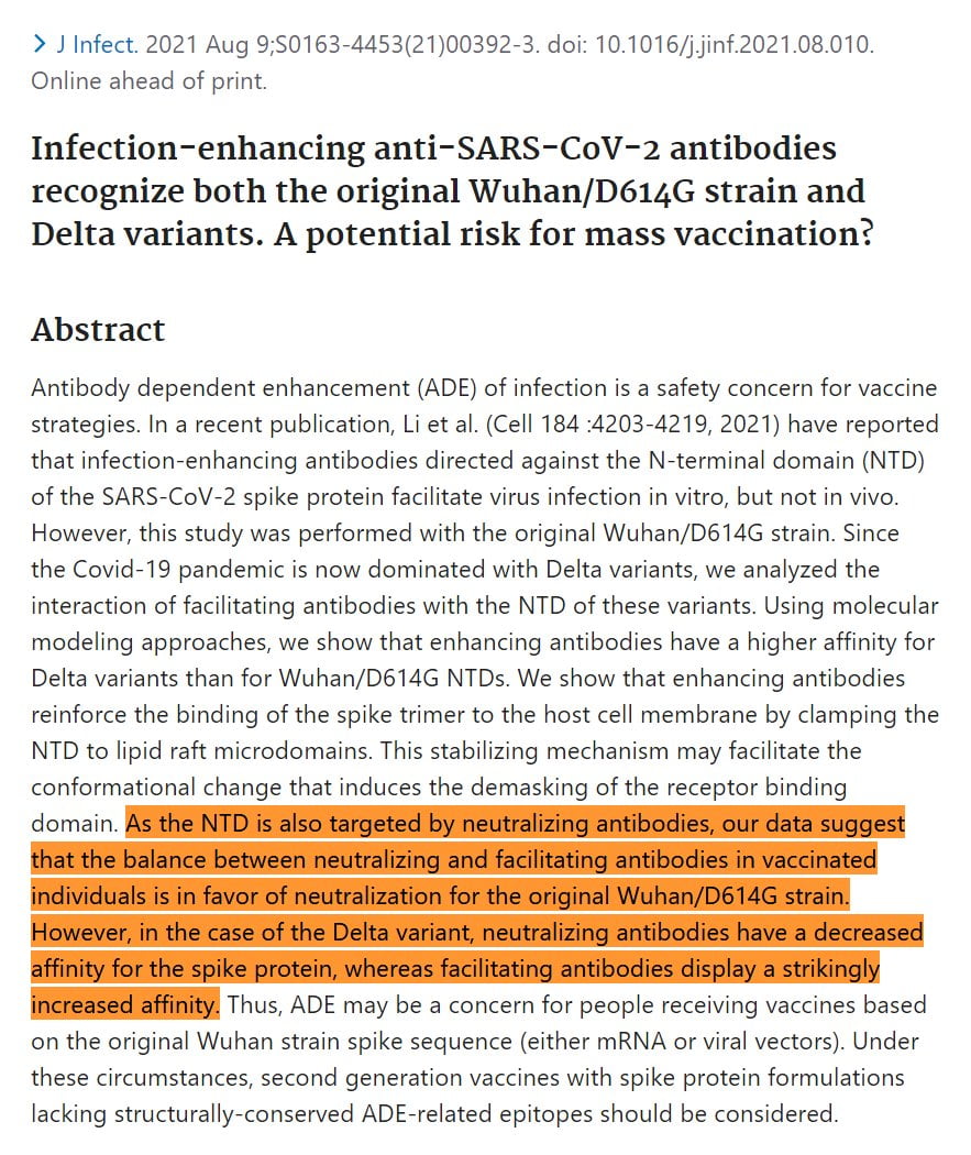 Infection-enhancing antibodies in Wuhan-strain vs. Delta-variant