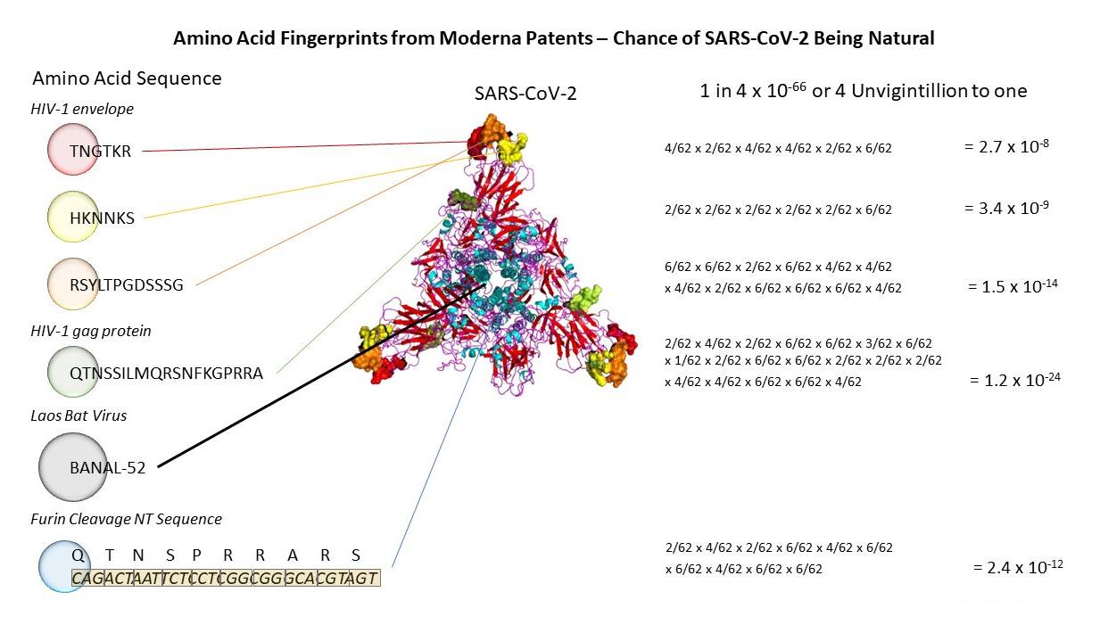 The various protein sequences found in Moderna patents
