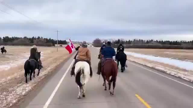 Canadian cowboys heading to the Alberta border to join...