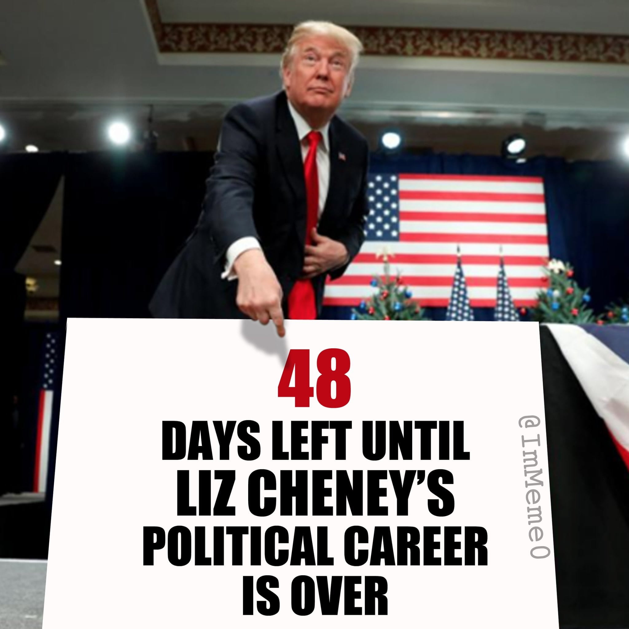 Liz Cheney, daughter of Dick Cheney