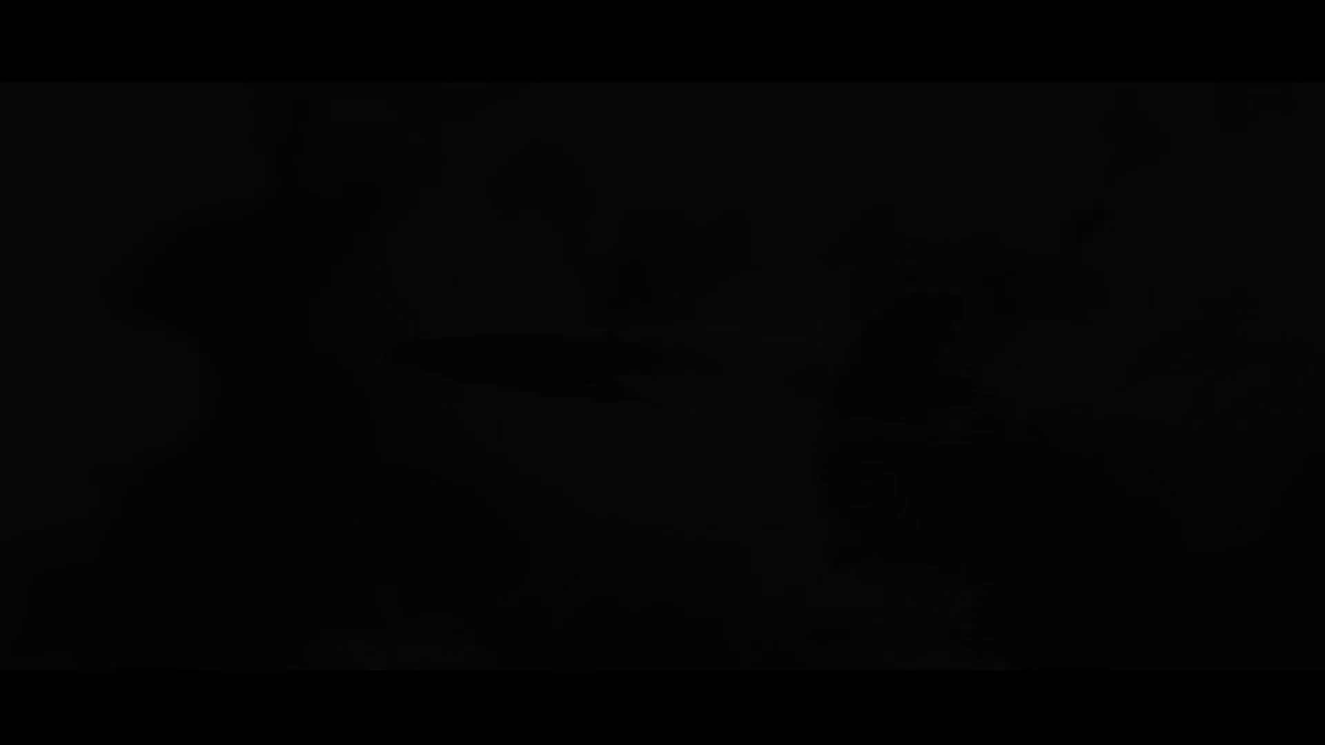 Iranian Arash-2 military suicide drone